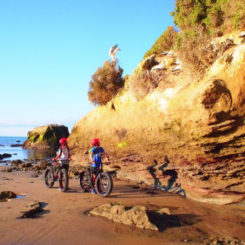 Gannet Bikes, Cape Kidnappers, Hawke's Bay, New Zealand